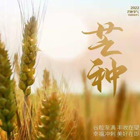 识芒种 知习俗——二十四节气之芒种