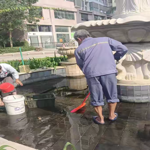 市房管中心深入小区开展登革热防控问题整改工作