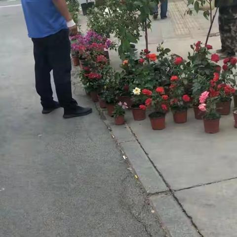 昌黎县城管执法局开展“去丑”行动--- 加强流动商贩管控力度