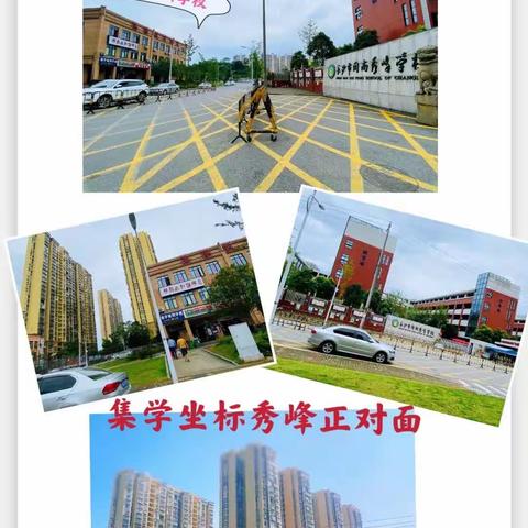 集学幼小衔接课程招生啦！
