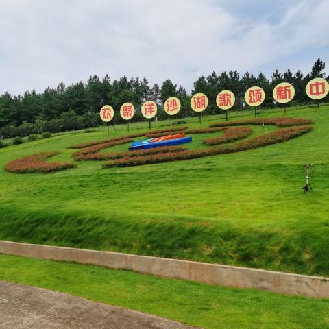 洋沙湖花海纪念相册