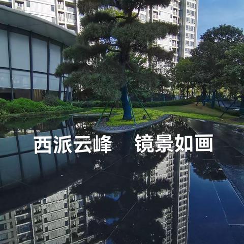 告别2023  迎接2024