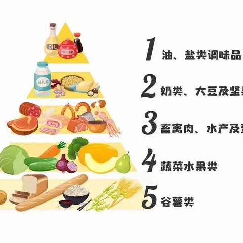 “知食”就是力量——四龙实验小学小学“5.20中国学生营养日”主题宣传活动