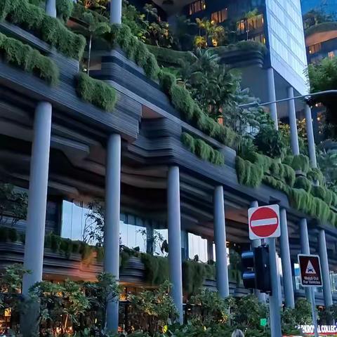新加坡🇸🇬春节产品合集