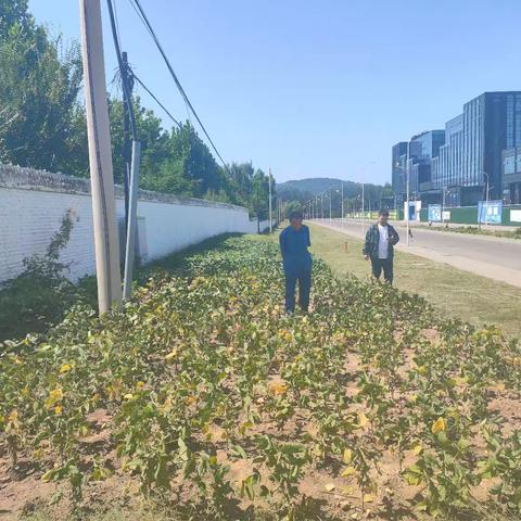 荫城镇王坊村第三网格员——李贵和。