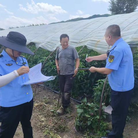 2024年抚顺市农产品质量安全监督抽查第三季度采样工作