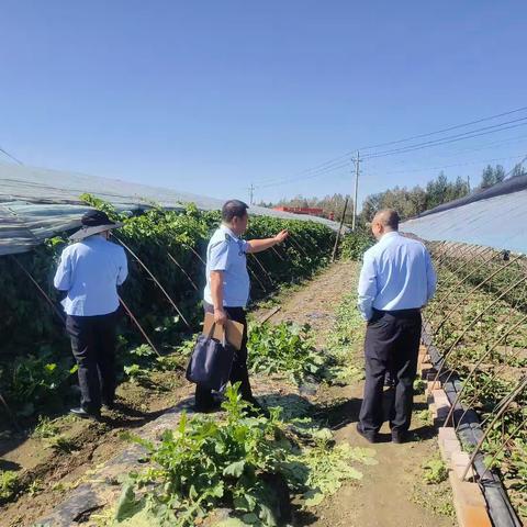开展抚顺市农产品质量安全监督抽查第三季度采样工作