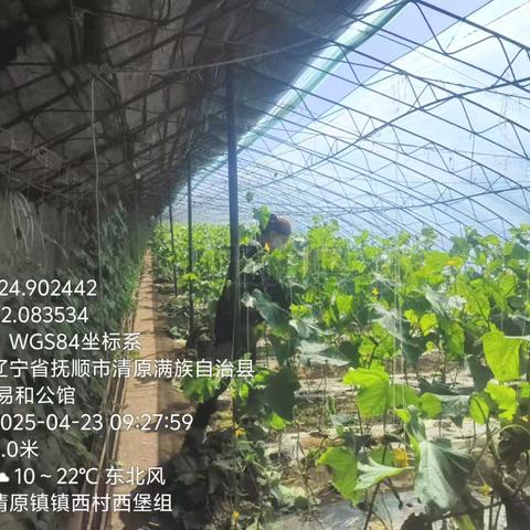 清原县开展2025年抚顺农产品质量安全风险监测第一、二批次采样工作