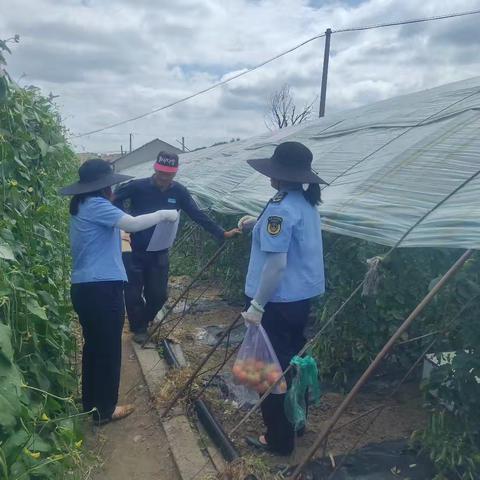 2025年抚顺市农产品质量安全监督抽查第四批次采样工作顺利开展