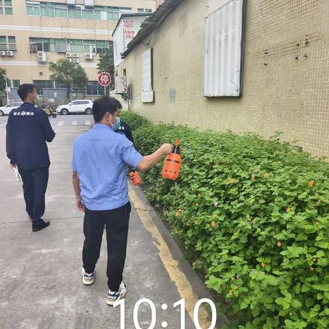 富桥三区园区卫生整顿，蚊虫消杀