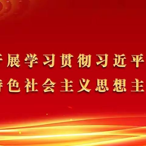 反诈宣传进校园，共筑防骗“安全墙”——庙头小学开展校园反诈宣传活动