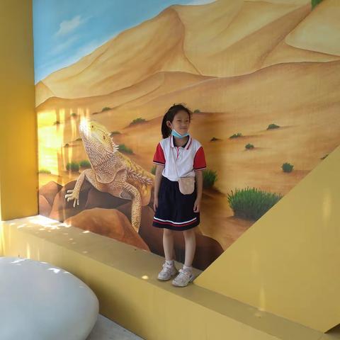 西六路小学一（3）中队司纭菲