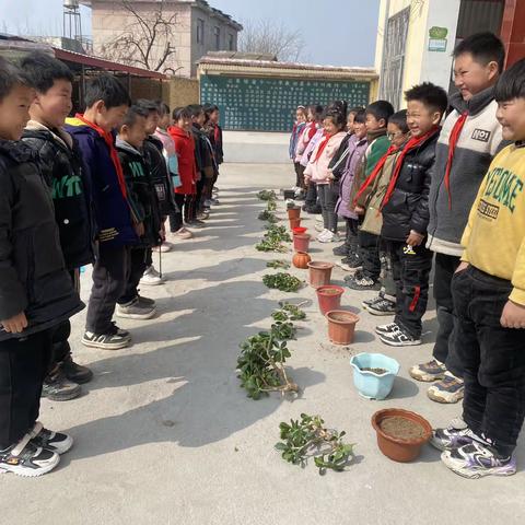 拥抱春天 爱绿护绿——遂平县石寨铺镇中心小学一（1）阳光中队植树节活动