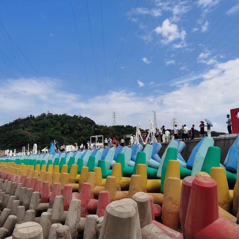 深入践行“八八战略”，探究“海上花园”新图景的发展脉络——九三学社婺城区基层委开展专题考察