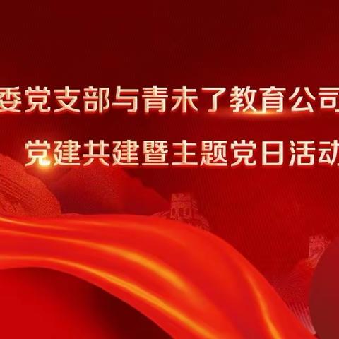 党建共建“共情”   协同育人“育心”——团区委党支部与青未了党支部党建共建暨主题党日活动