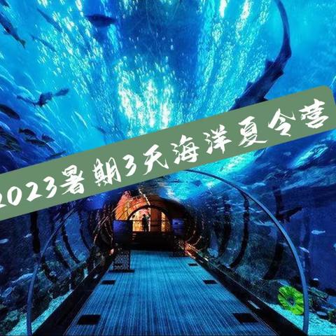 2023暑期海洋夏令营（3天2夜）