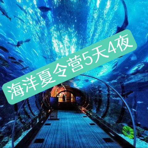 2023暑期5天海洋夏令营