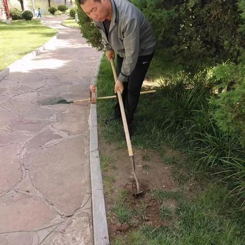 播撒草籽复绿 治理草坪斑秃