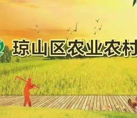 琼山区召开专题会议研究涉农资金审计发现问题整改工作