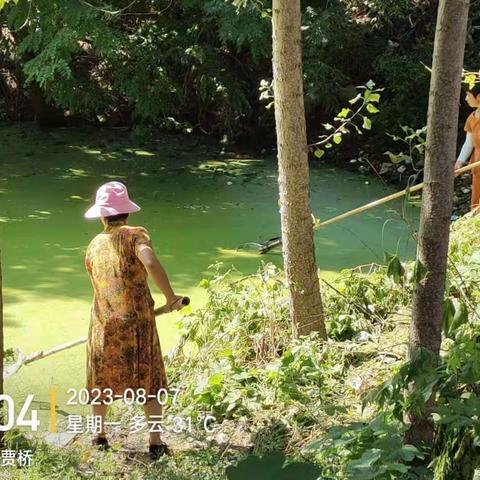 清淤治污保水清，助力“生态宜居星”