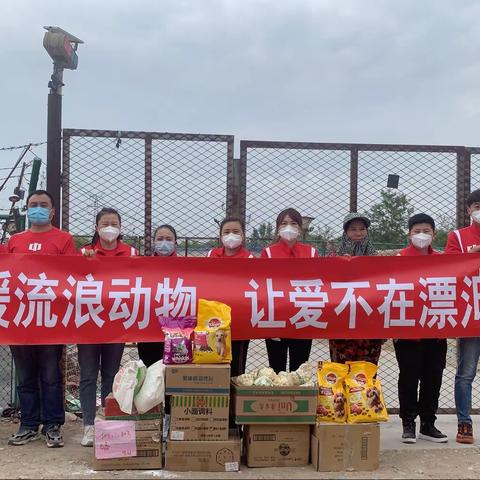“情暖流浪动物，让爱不再漂泊”                   银川正源北街店动物救助站党建活动
