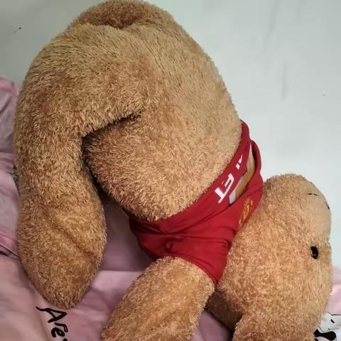 八二班恐龙组寒假打卡