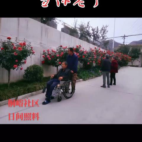 银发映照夕阳红岁月沉淀人生味