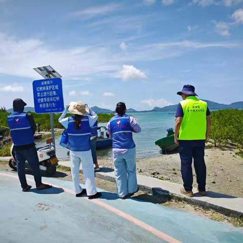 团新村镇委持续开展暑期防溺水安全巡查宣传教育志愿服务活动(八)