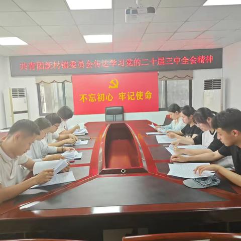共青团新村镇委员会传达学习党的二十届三中全会精神
