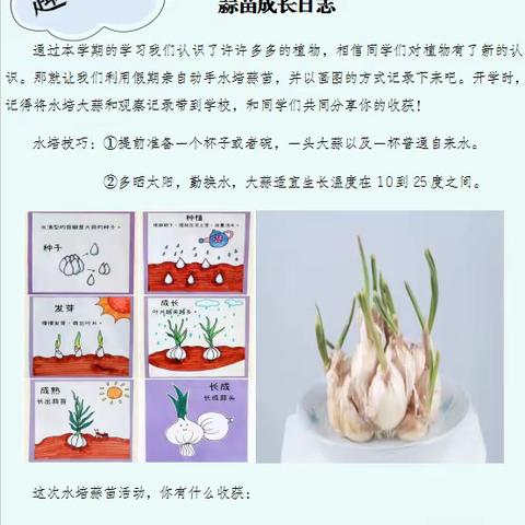寒假作业展风采 龙行龘龘向未来——昆仑路小学寒假特色作业展示（科学篇）