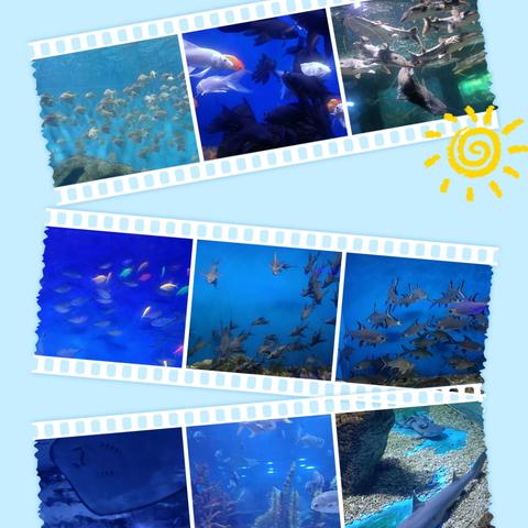 黄梅县第八小学幸福成长“八个一”创意作业 范雨琪