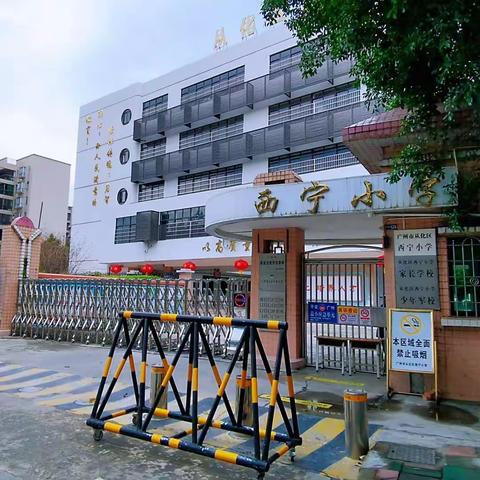 【西宁·开学指引】逾越龙门，共赴未来 ——西宁小学2023学年第二学期开学指引