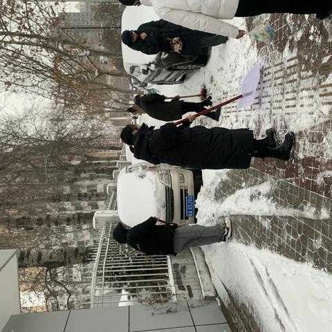 华兴社区举办“雪中送暖，青春先行”青年人才扫雪活动