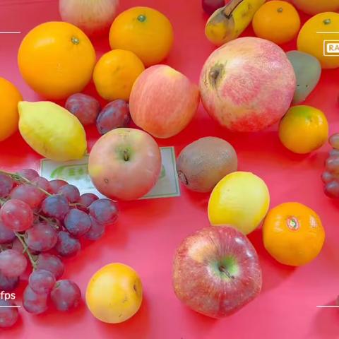 多元智能主题探究—水果乐园🍉🍇🍊🍌🍈