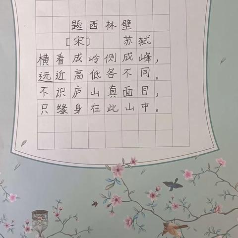 坚持练字，用心书写一一蒲东街道实验小学四（6）班双减背景下练字活动