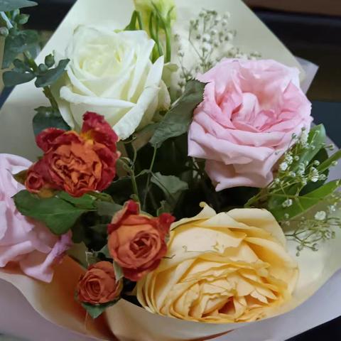 培信幼儿园的简篇（副本）