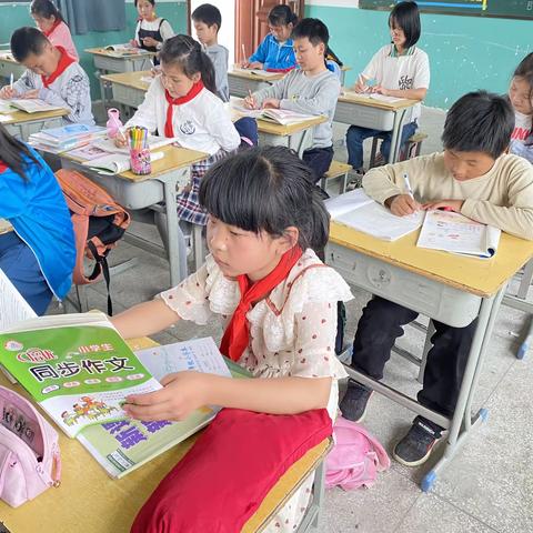 双减进行时   活力校园——圭峰镇中心小学社团活动