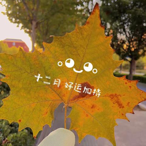 匠心服务 康悦幼仔——道口铺中心幼儿园周忆（十四）