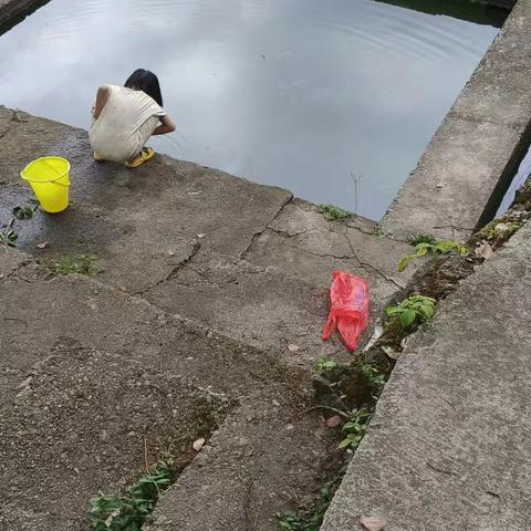 池塘边的守护