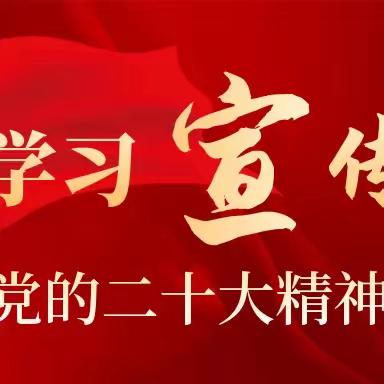 学习二十大  永远跟党走——西安市高陵区第四幼儿园党支部开展党员二十大宣讲活动