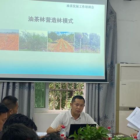 天涯区农业农村局召开油茶发展工作推进会