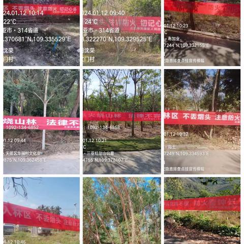 三亚市天涯区农业农村局林业办开展森林防灭火暨安全生产隐患排查工作