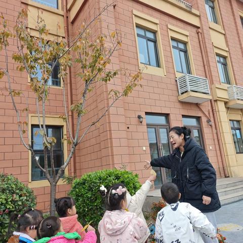 东幼·探究 发现 体验|【园本课程】《大地休息了》小班十一月课程故事