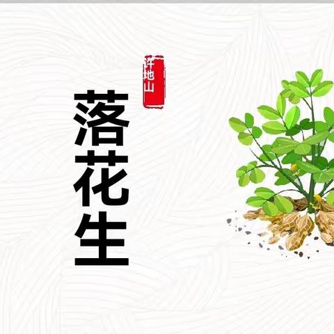 落花有声，道理入声——临汾黑马弘毅学校语文《一课一写，越写越爱》五年级学生习作分享（第二期）