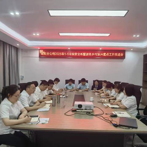 锚定目标，全力冲刺“双过半”——铜鼓分公司召开2025年1-5月经营分析暨服务乡村振兴重点工作推进会