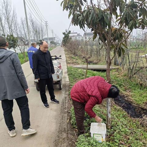 开发区农口调度果树进村