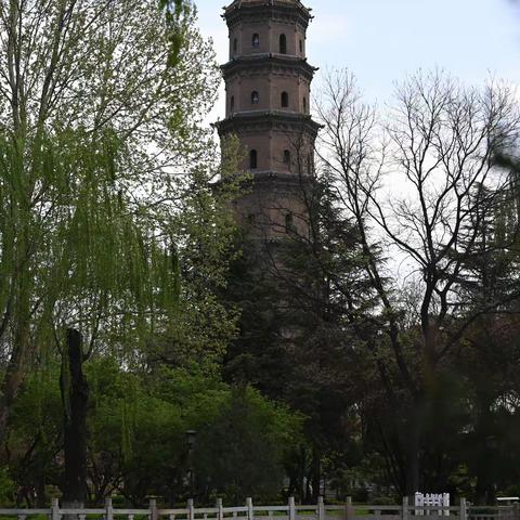 北坛公园    春日别样