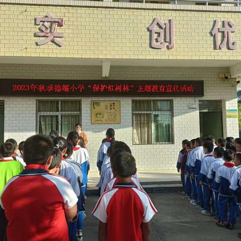 2023年秋季高桥镇德耀小学举行“我爱家乡的红树林”主题绘画比赛