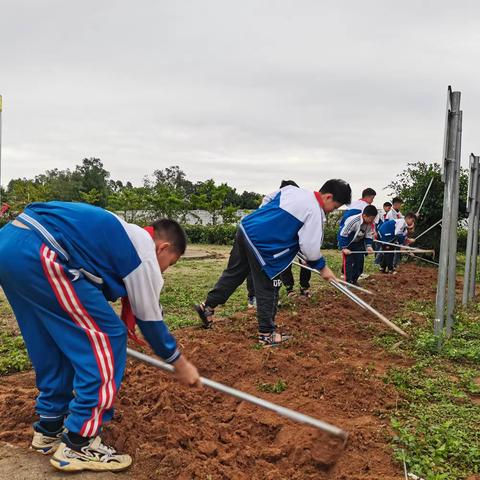 建设劳动基地          打造绿美校园