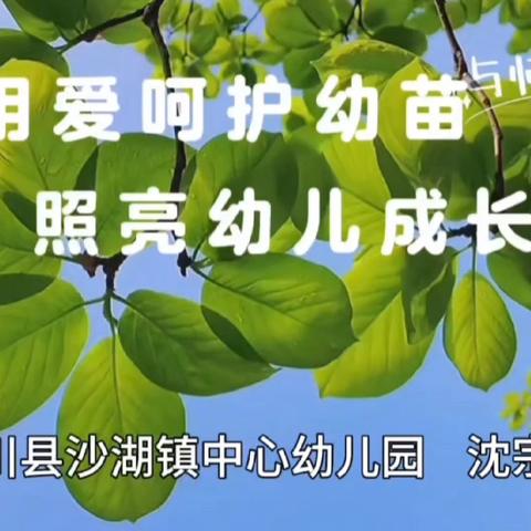 “展师德风采，铸教育匠心”师德风采展示活动宣传（五）——陆川县沙湖镇中心幼儿园